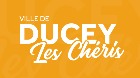 Réalisation n°1 : Charte graphique pour la Ville de Ducey-Les Chéris